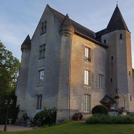 Chateau De Re Le Petit-Pressigny Dış mekan fotoğraf