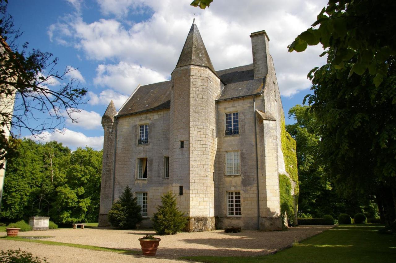 Chateau De Re Le Petit-Pressigny Dış mekan fotoğraf