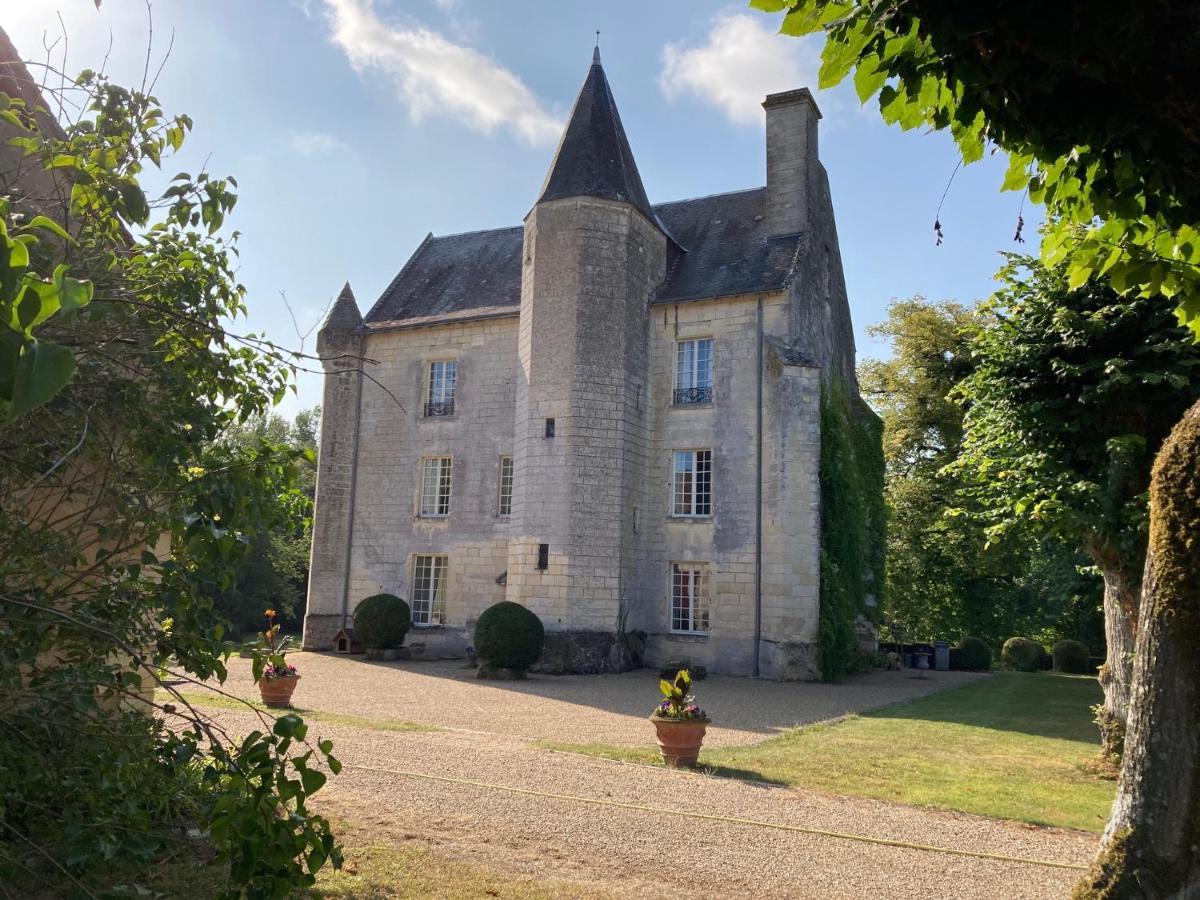 Chateau De Re Le Petit-Pressigny Dış mekan fotoğraf