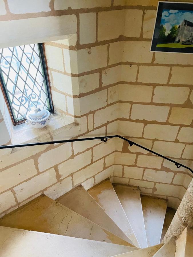 Chateau De Re Le Petit-Pressigny Dış mekan fotoğraf