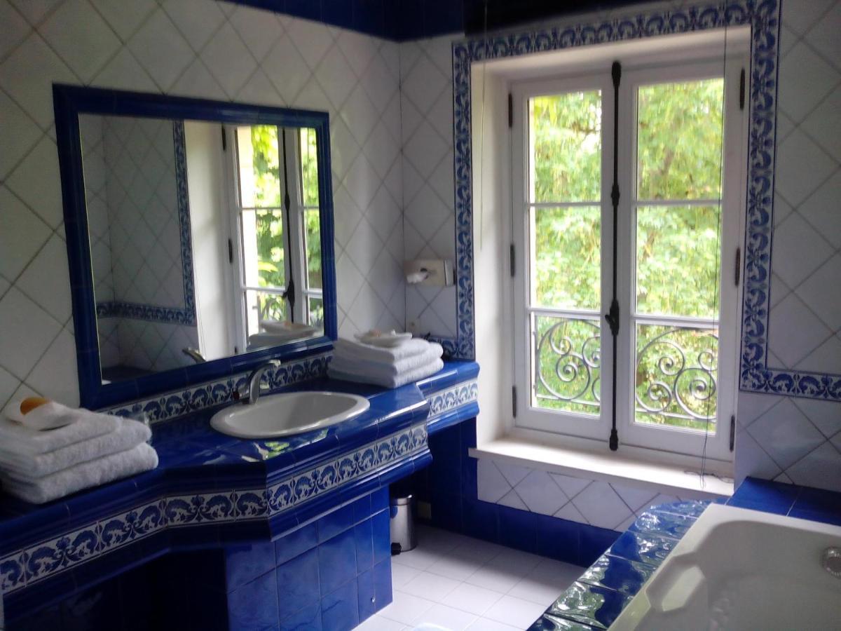 Chateau De Re Le Petit-Pressigny Dış mekan fotoğraf