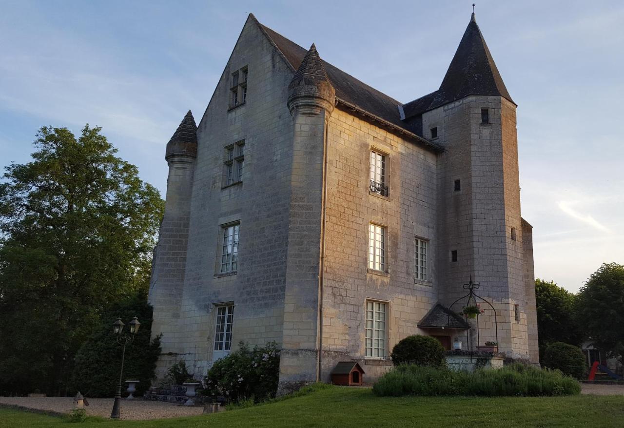 Chateau De Re Le Petit-Pressigny Dış mekan fotoğraf