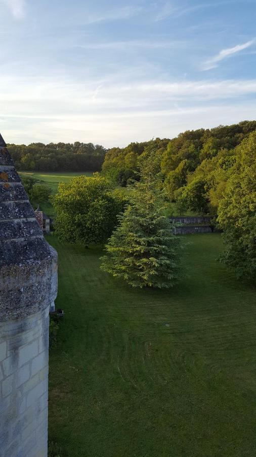 Chateau De Re Le Petit-Pressigny Dış mekan fotoğraf