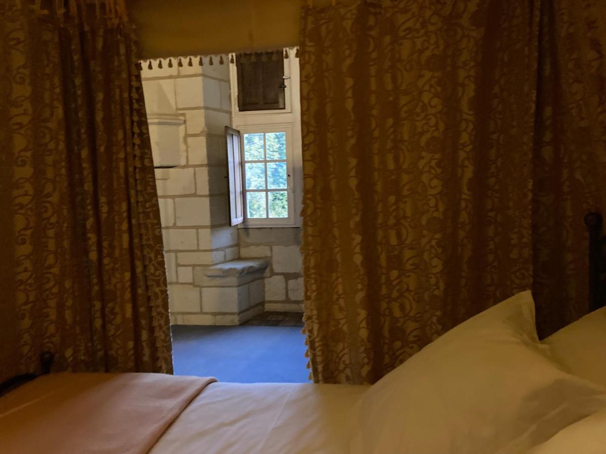Chateau De Re Le Petit-Pressigny Dış mekan fotoğraf